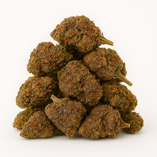 Orange Sherbet